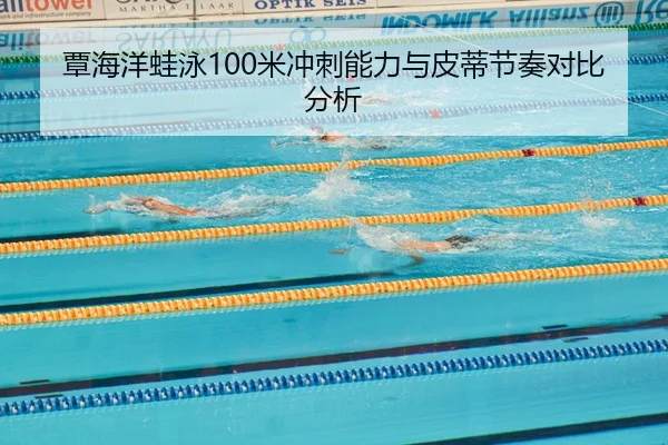 tan-hai-yang-wa-yong-mi-chong-ci-neng-li-yu-pi-di-jie-zou-dui-bi-fen-xi-2-153.jpg